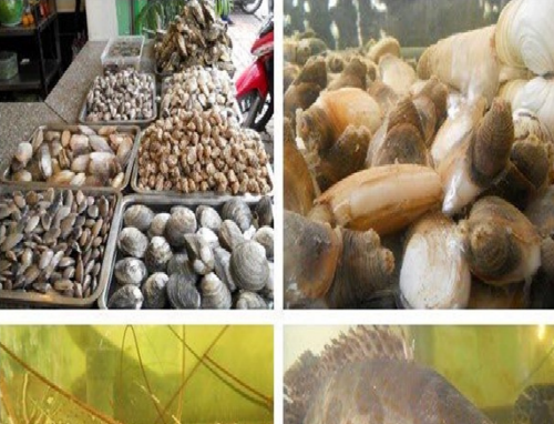 Nhà hàng hải sản ngon tại Hoàn Kiếm